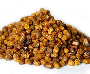 ПЕРГА БДЖОЛИНА